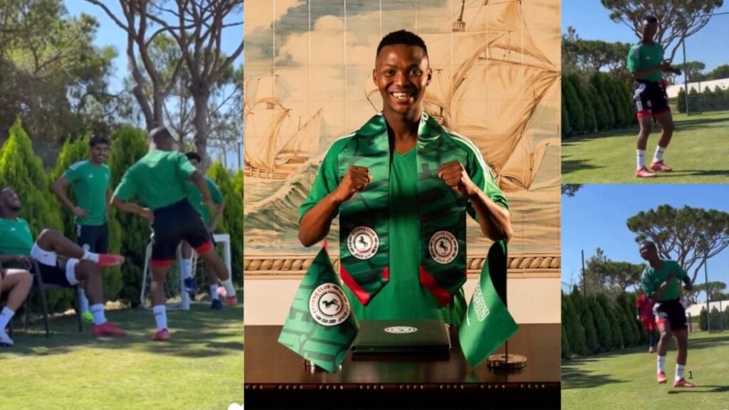 Norho wa Mohau Nkota wo tlanga eka tiligi ta le Yuropa wu humelela
