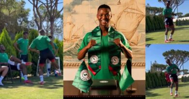 Norho wa Mohau Nkota wo tlanga eka tiligi ta le Yuropa wu humelela